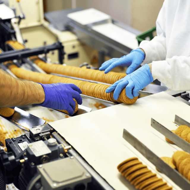 Workers wearing blue and purple gloves handling cookies on a food production line