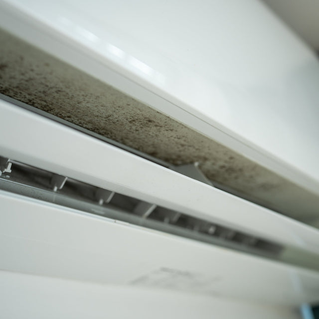 Mould Prevention for Air Conditioning