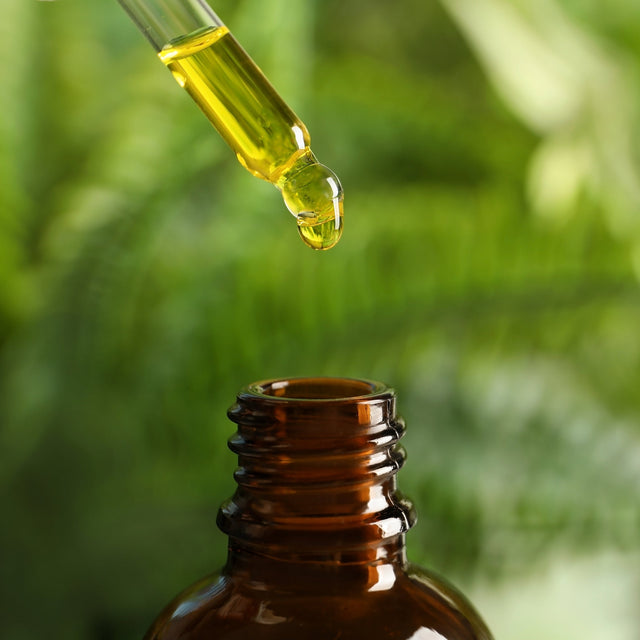 Mushroom Extracts