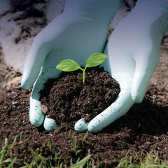 Collection image for: Biodegradable Gloves