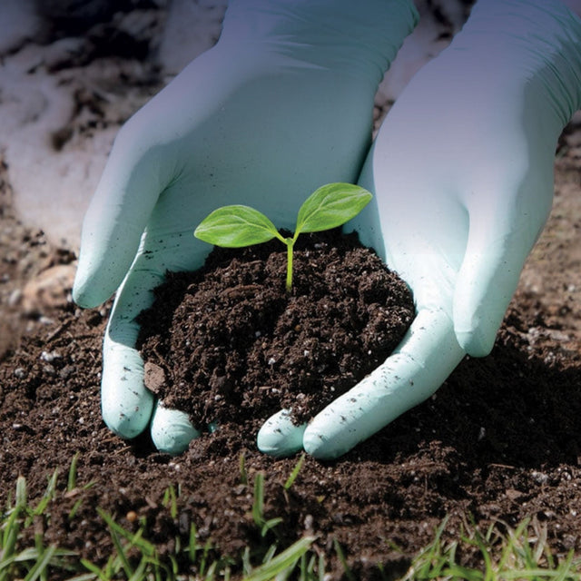 Biodegradable Gloves