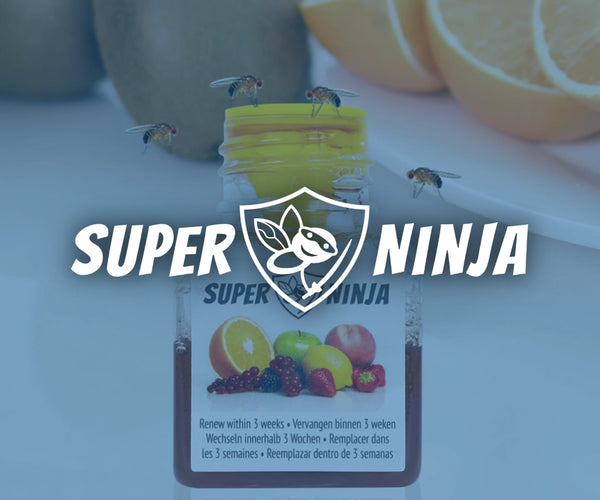 Super Ninja Natural Insect Traps | Aussie Pharma Direct