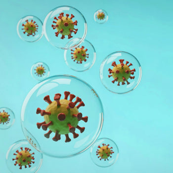 Virus & Infection Safety