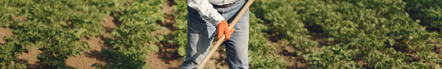 Agriculture Industry 