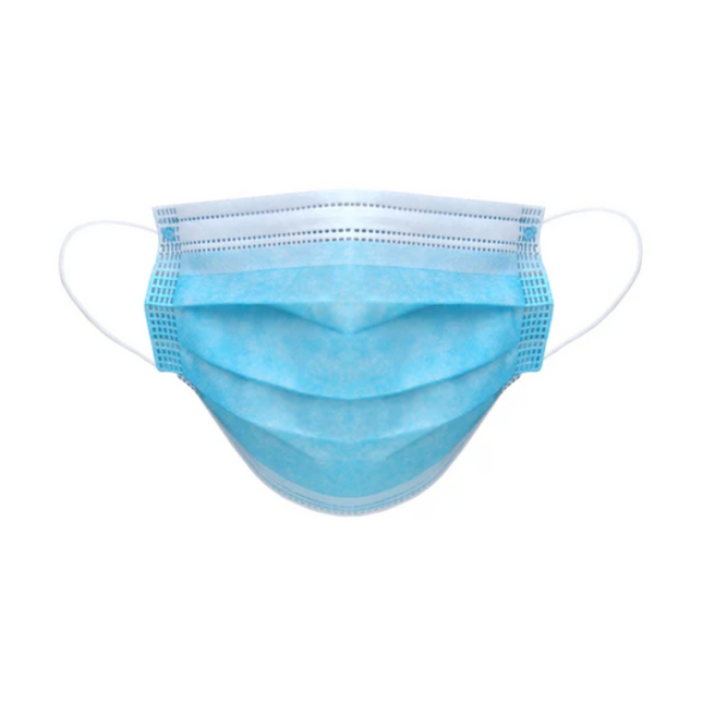 Bastion Surgical Blue Face Mask With Earloop