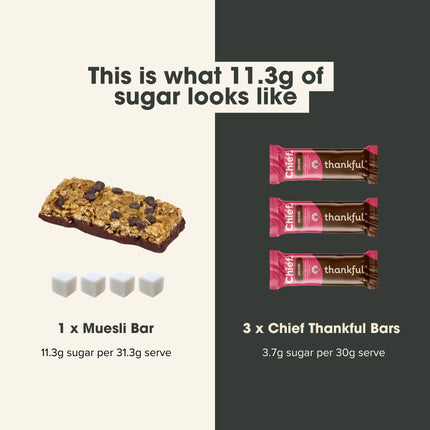 Chief Thankful Bar - Choc Berry Flavour 30g