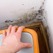 Preventing mould before it starts
