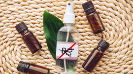 Essential oils as natural insect repellents 