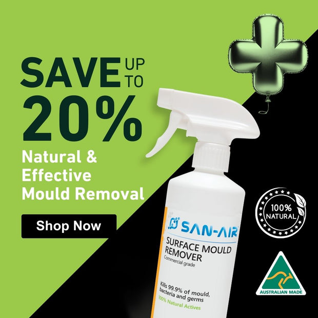 Mould Removal