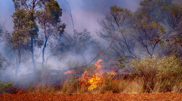 Respiratory Protection for Bushfire Smoke and Poor Air Quality Days