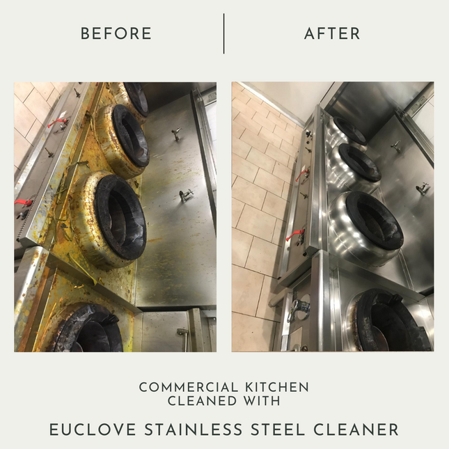 Euclove Stainless Steel Cleaner (50ml)