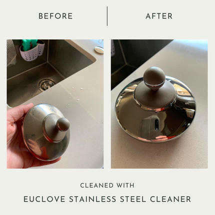 Euclove Stainless Steel Cleaner (50ml)
