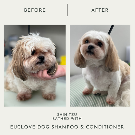 Euclove Salon-Grade Natural Dog Shampoo (500ml)