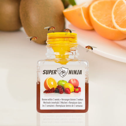 Fruit flies attracted to natural solution in bottle trap