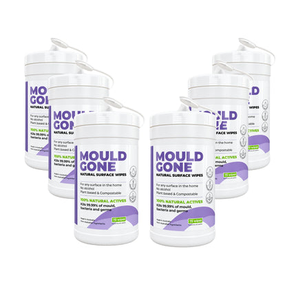 Mould Gone mould removal wipes - bundle of 6