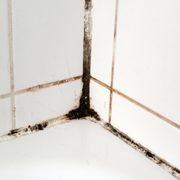 Can't get rid of mould from your bathroom?